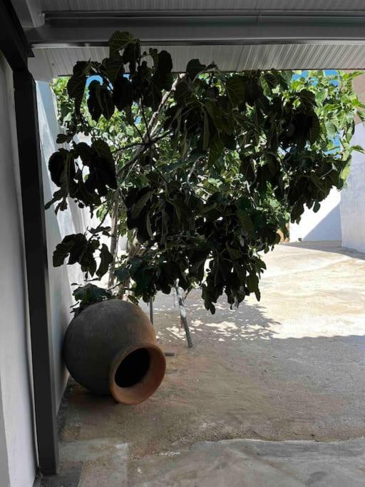 Vila Agradable Casa Con Chimenea Interior Y Barbacoa. Graja de Iniesta Exteriér fotografie